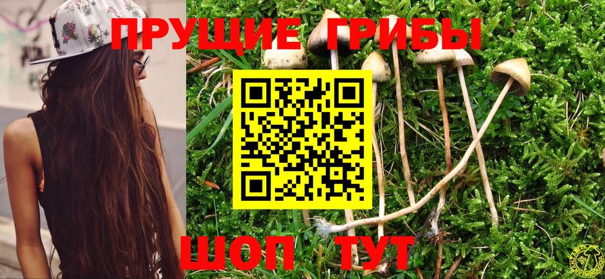 Псилоцибиновые грибы Magic Shrooms Кудрово