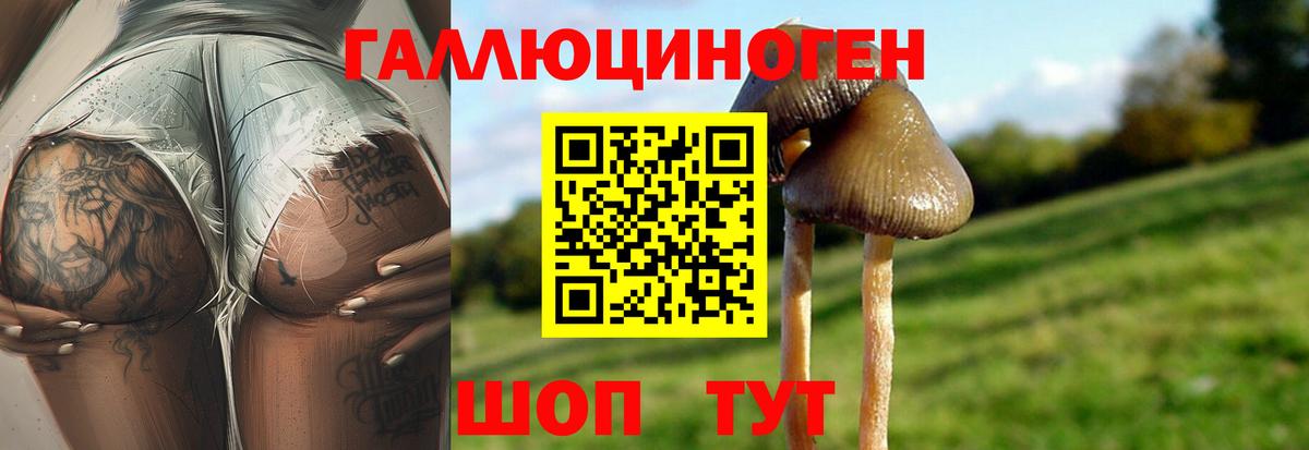 Кудрово  Галлюциногенные грибы прущие грибы  наркота  Галлюциногенные грибы Cubensis  Вход с VPN 