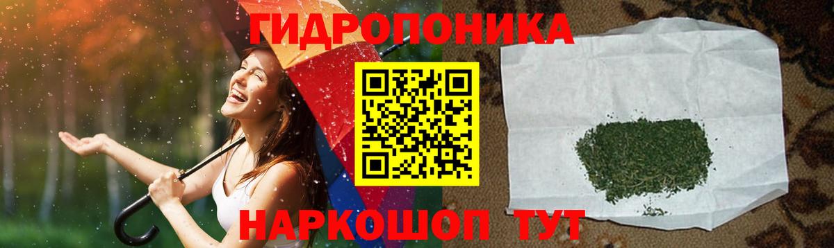 Шишки марихуана марихуана  Конопля марихуана  Кудрово  Вход с VPN  Каннабис тримм 